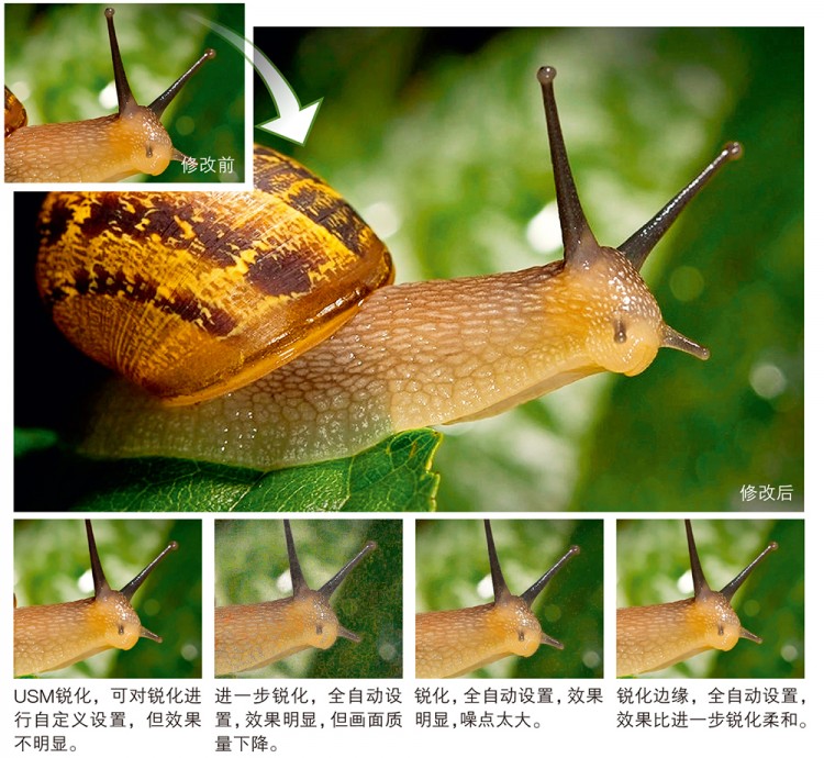 西双版纳从下飞机开始的攻略,进入西双版纳的视频