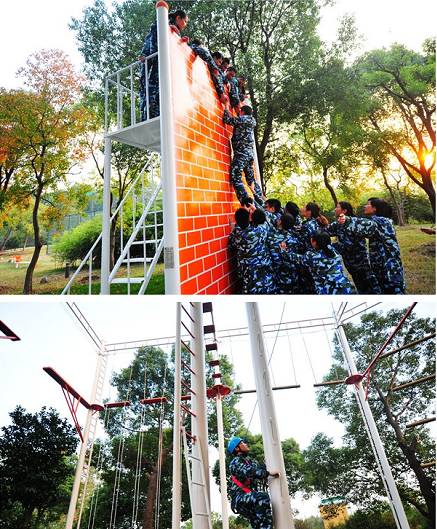 在春天赴一场樱花的约会,在春天去赴一场与花海的约会