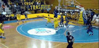 猫的跑步能力,猫的运动能力有多强