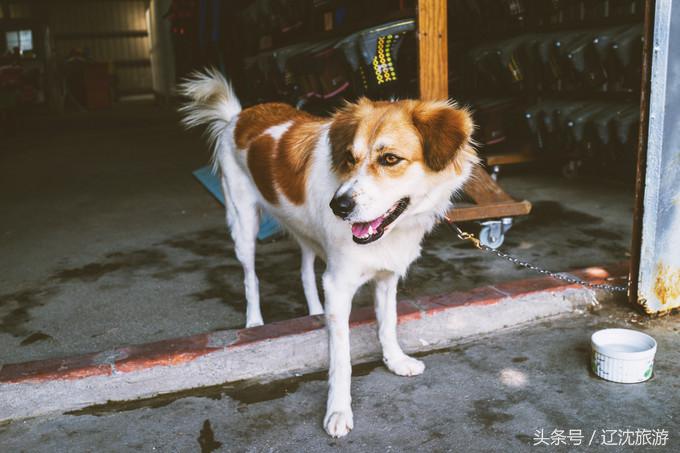 去台湾看自然风景,台湾小众景点