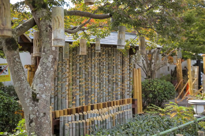 初冬九州温泉旅游攻略,与闺蜜冬日游山庄