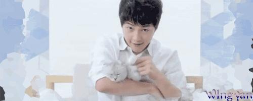 少年感出自哪里,少年感柏原崇