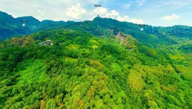 世界双遗峨眉山,双遗马拉松青城山免票吗