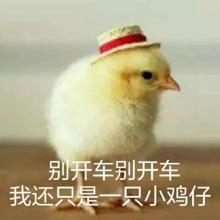 各大牌鸡年限定款,外国人对“鸡”有什么误会?