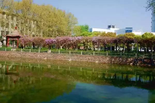 金陵十三校齐贺新春，请您查收一份来自南大的新春祝福