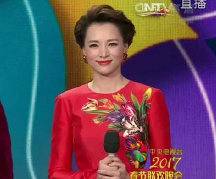 董卿春晚口红是什么色号,董卿2017年春晚口红色号