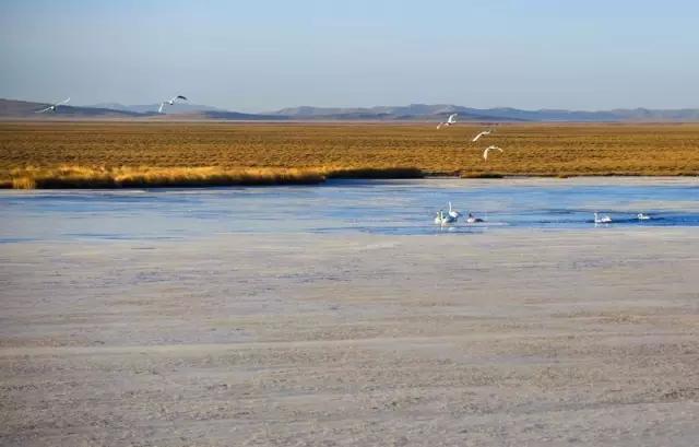 成都周边一天自驾游去哪里,春节成都附近3天自驾游哪里耍