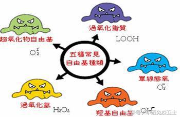 二氢杨梅素和黄酮是一个东西吗,二氢杨梅素和藤茶总黄酮