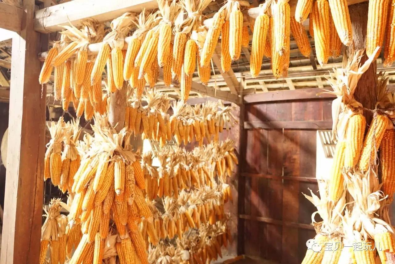 老娘的青春那么短，花点钱开心又何妨