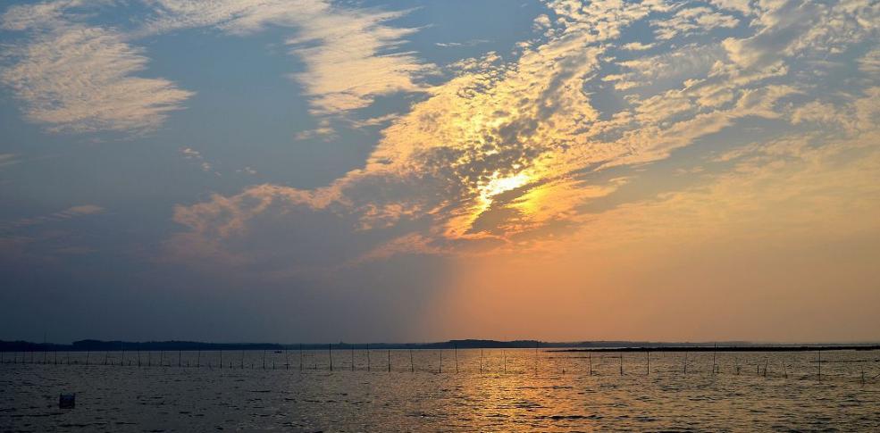 任贤齐演唱会武汉江夏歌迷,任贤齐回武汉江夏纪录片