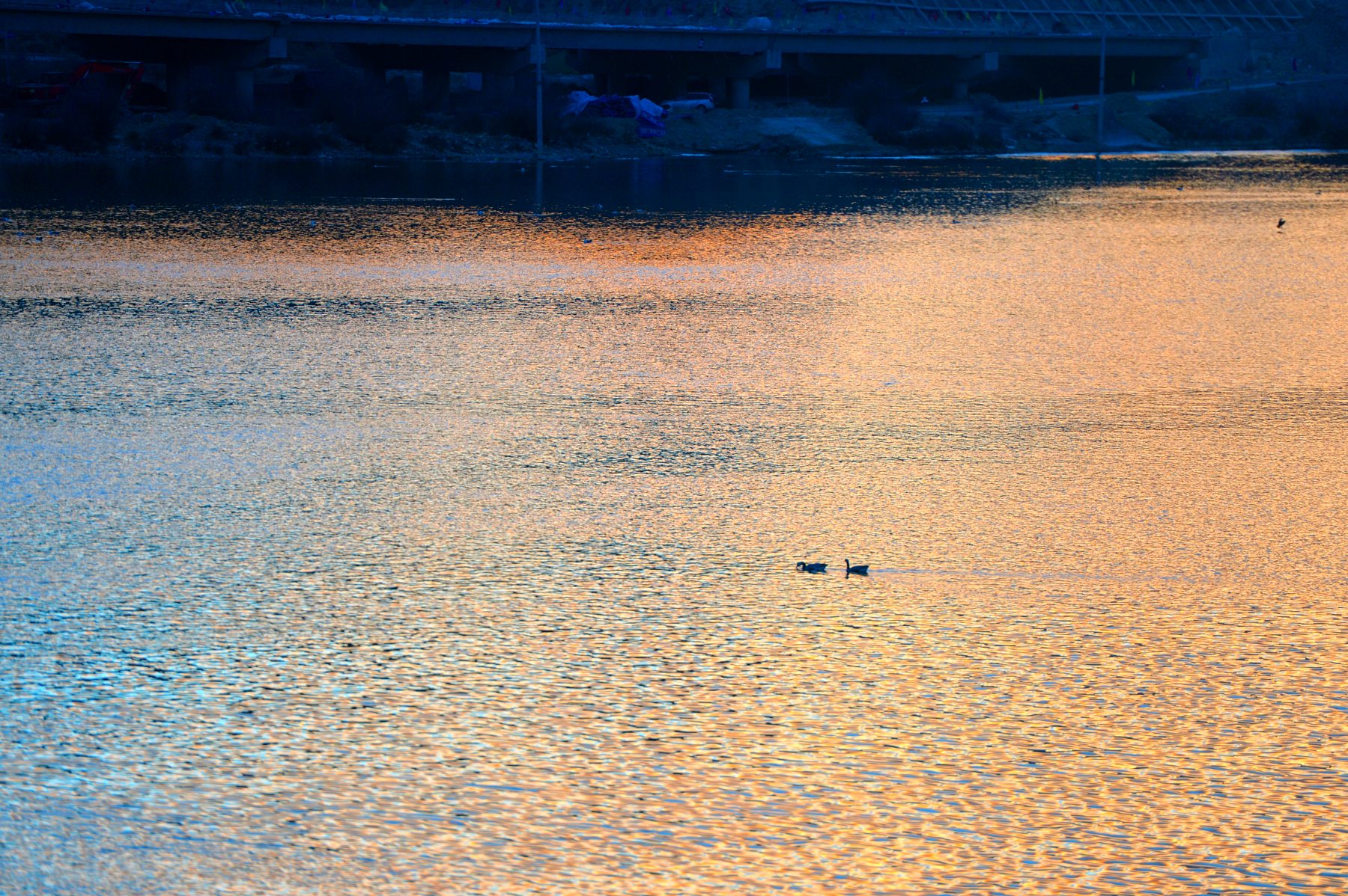 河道被挖开,被挖出来的河