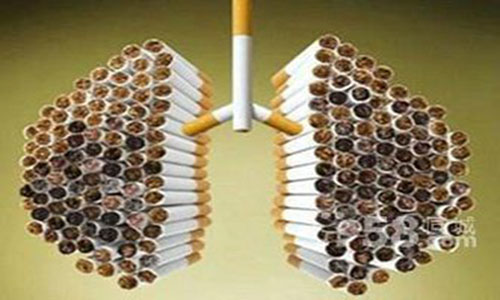 十种保护肺部最好的食物,六种保护肺部健康方法