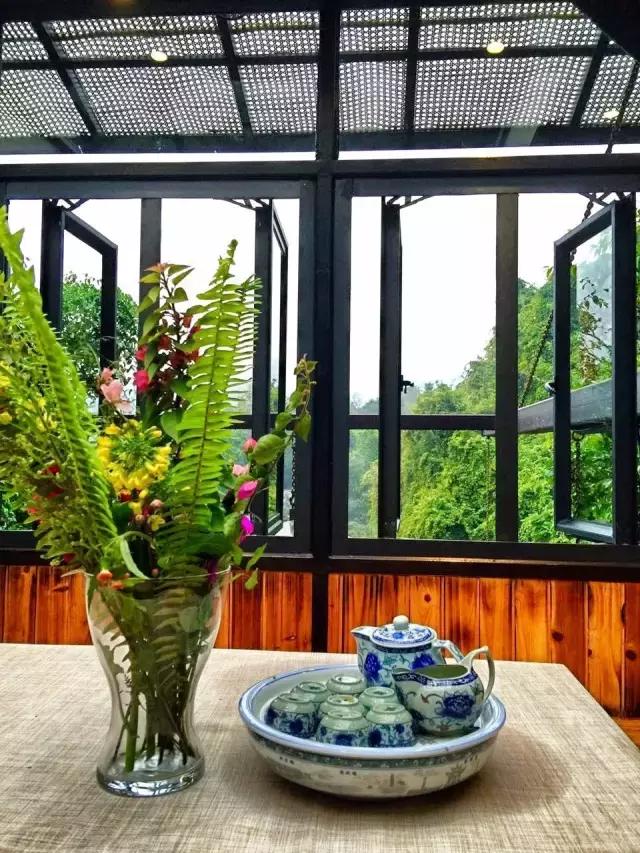 惊！艳！清远这片森林惊现空中吊屋！来过你再也不想回家