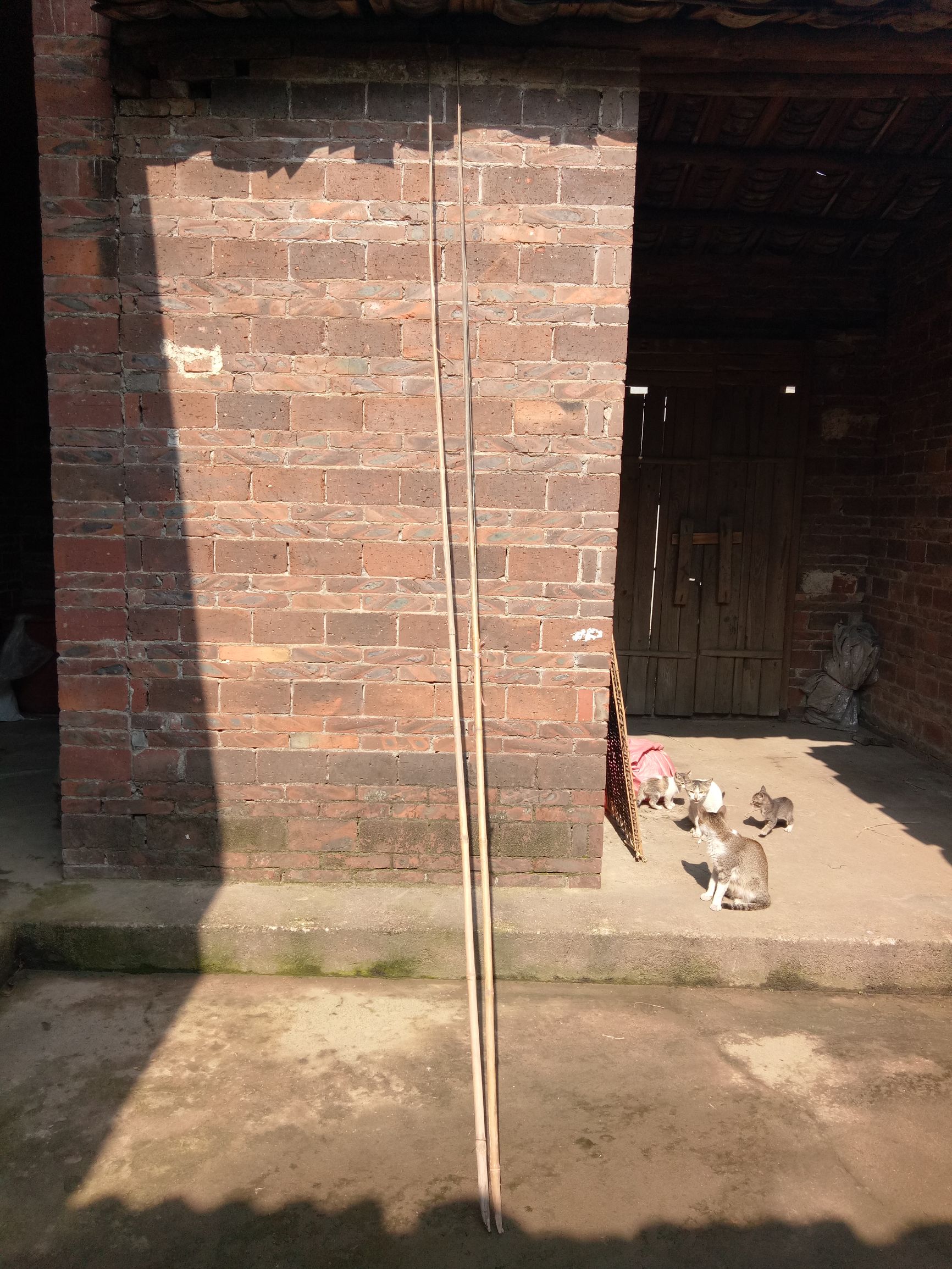 手竿鱼钩防挂底技巧,初学者钓鱼鱼竿线鱼钩怎么搭配