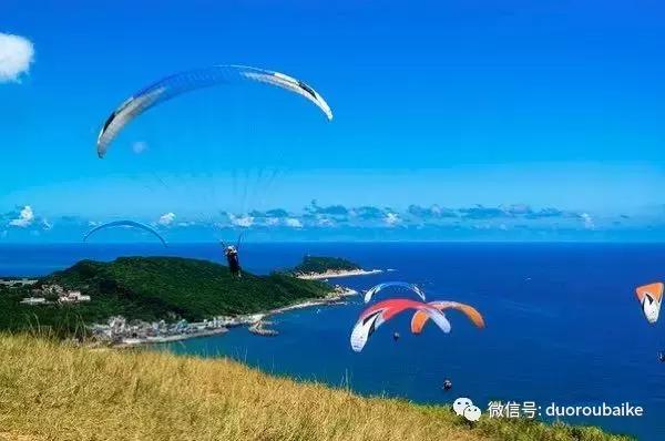 台湾寻肉之旅：小玲带你逛春节的台北花市！