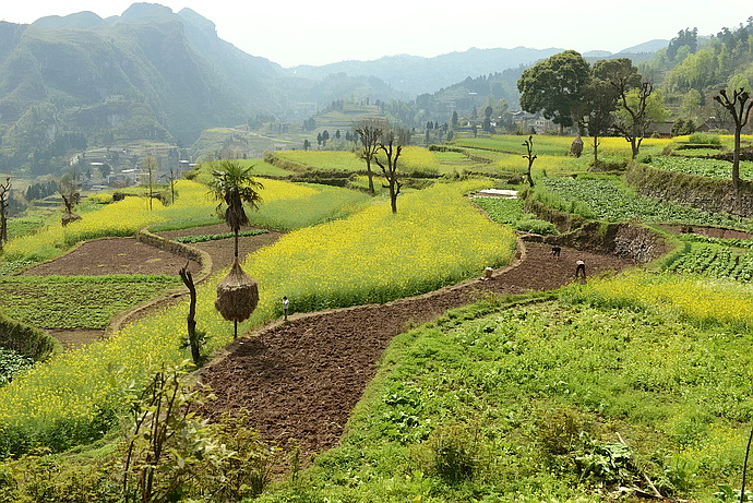 贵州原始古寨景点,贵州清静的古寨