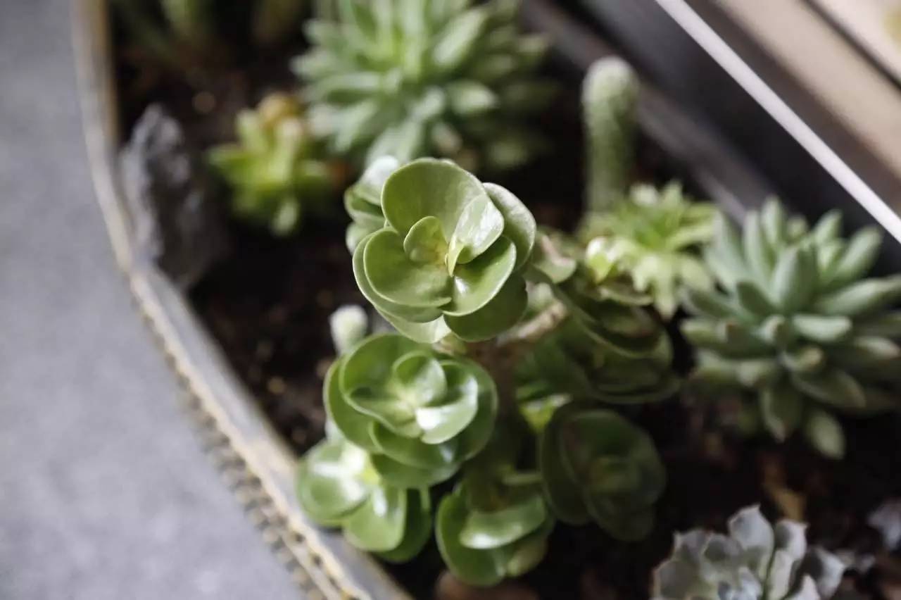 我从不相信一见钟情直到遇见了你,我不相信一见钟情我相信日久生情