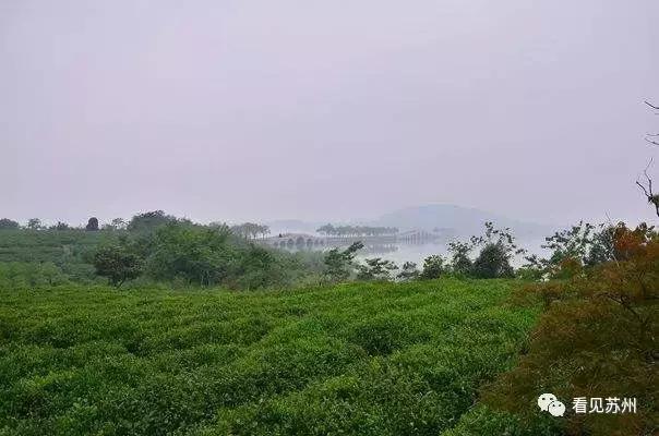 醉美苏州好去处太湖吴中,苏州太湖边哪里最好看攻略