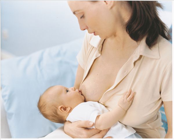 槐花哺乳期妈妈能吃吗,党参哺乳期妈妈可以吃吗