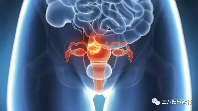 这是女人的健康“开关”，生育和美貌都由它掌管！