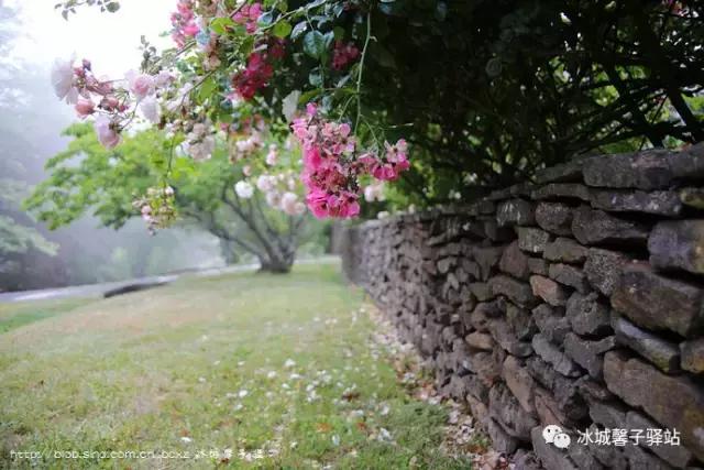 澳大利亚小镇都叫什么名字,澳大利亚蓝山为什么叫蓝山