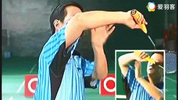 羽毛球教练新手入门教学,羽毛球教学陈教练