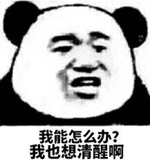 你问题好多怎么回复,你怎么这么多问题表情包