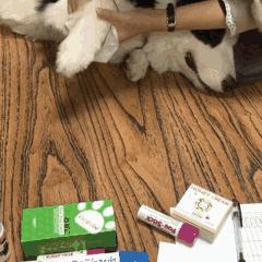 足部养生手法,足部保健有哪些问题