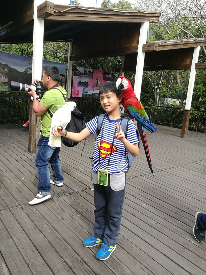 三亚旅游美食攻略大全,三亚美食美篇