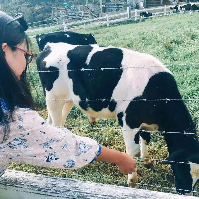 沙巴跳岛一日游,沙巴高品质旅游体验攻略