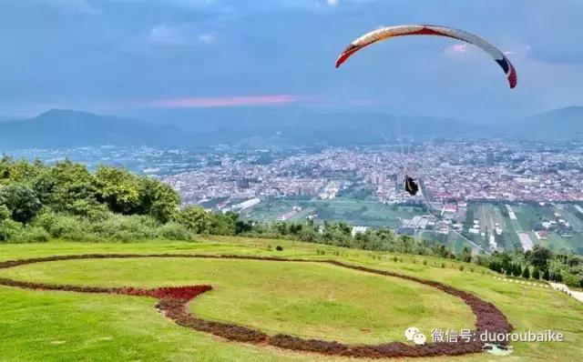台湾寻肉之旅：小玲带你逛春节的台北花市！