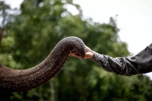 干货分享必读,干货探索与分享