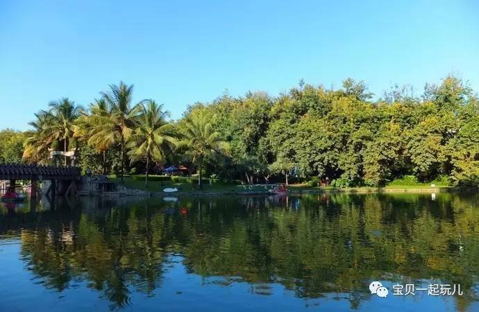 老娘的青春那么短，花点钱开心又何妨