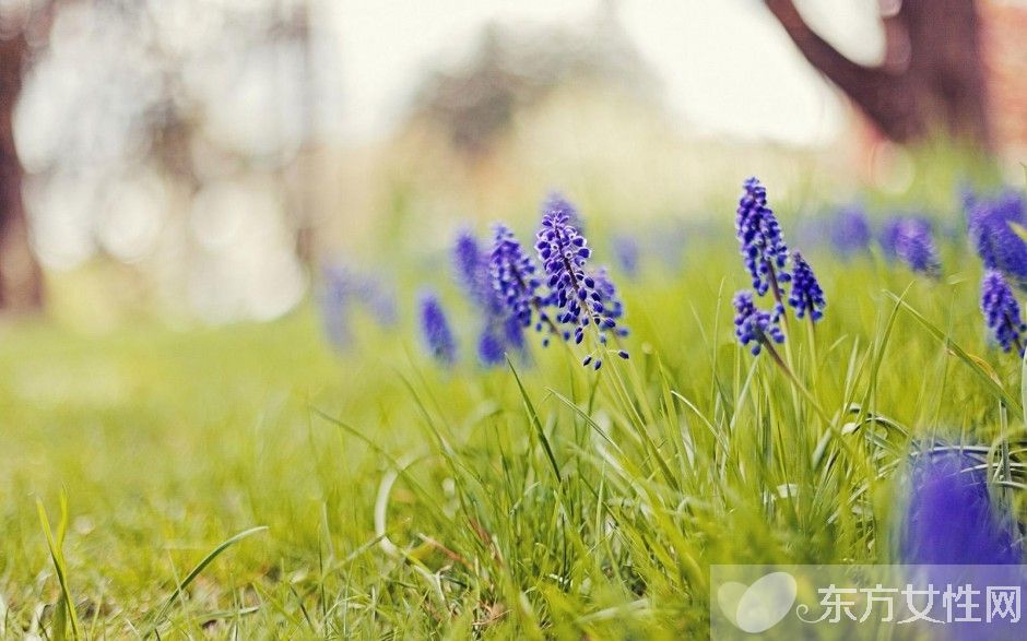 心肌炎后遗症的治疗,心肌炎后遗症引起的眩晕症状
