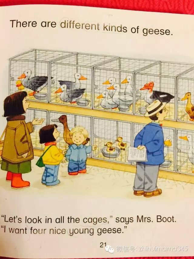 听西西读英文《农场故事集》第二篇：MarketDay