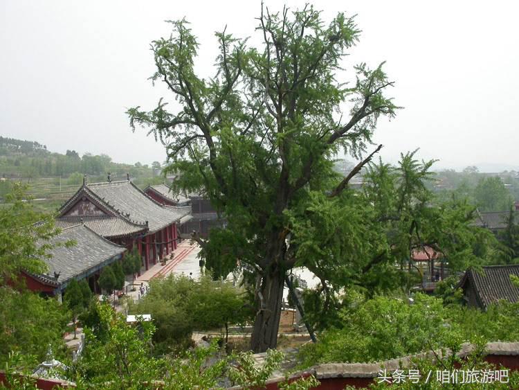 山东省枣庄市市中区技校,山东省枣庄市市中区15天天气预报