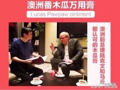 pure paw paw澳洲天然木瓜膏 (网上十几元买的木瓜膏是真是假)