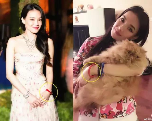 林心如舒淇董卿章子怡姚晨,林心如李小冉舒淇章子怡