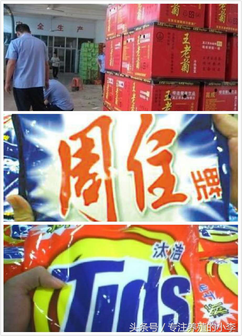 一万六千元的泥鳅苗,哪种泥鳅苗便宜