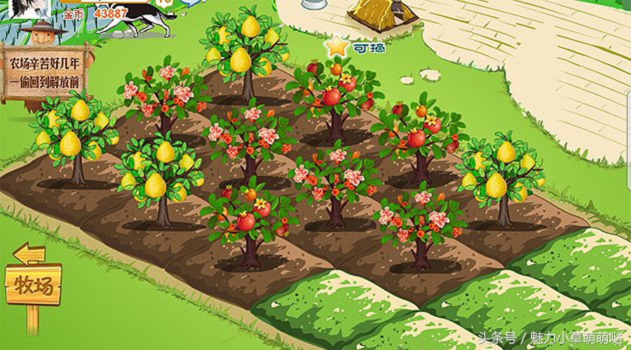 为什么那么多人喜欢玩麻将,为什么那么多人喜欢玩卡丁车