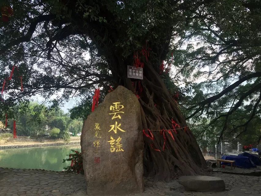 八千里路云和月的上一句,八千里路云和月一骑绝尘