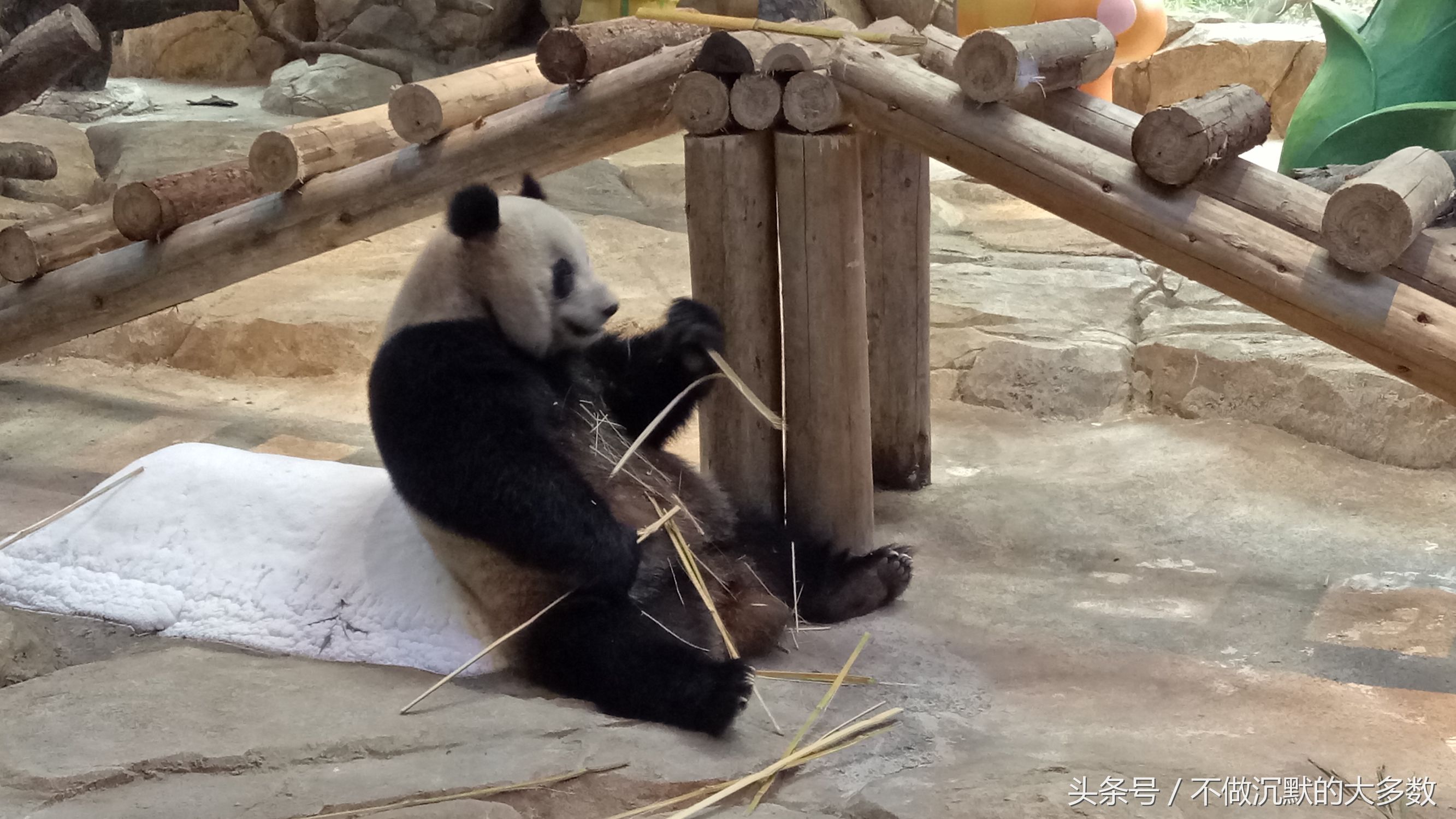 长隆野生动物园金蛇秘境有毒蛇吗,长隆野生动物园金蛇秘境怎么走