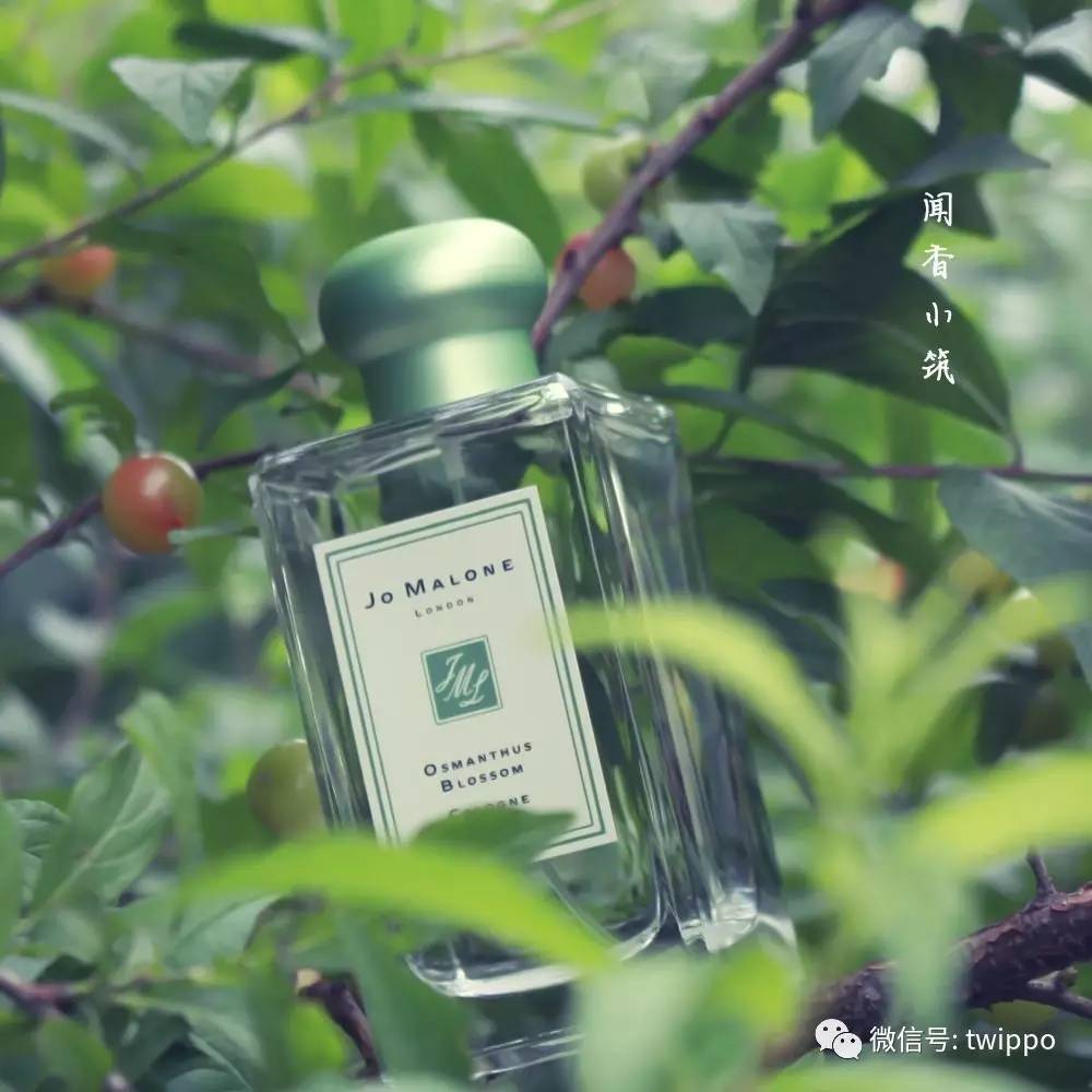 最适合春天的香水,适合春天留香较久的女性香水
