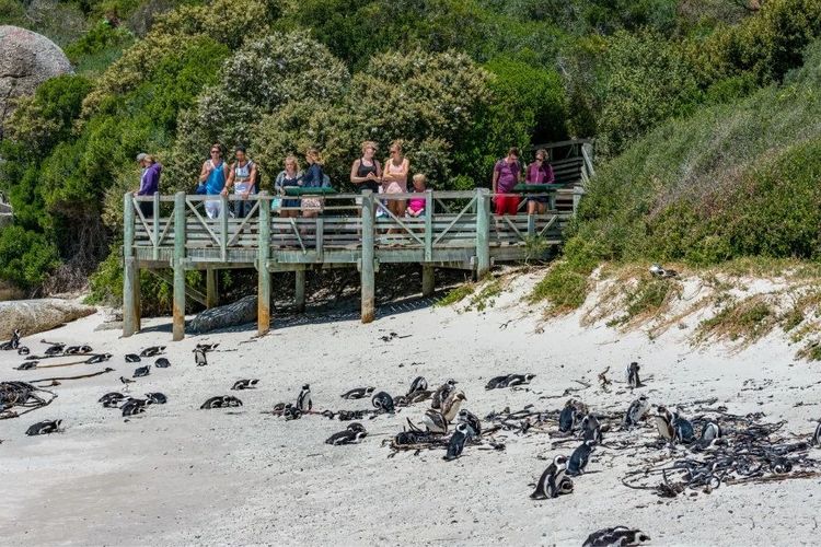 走进彩虹之国感受南非独特之美,彩虹之国南非