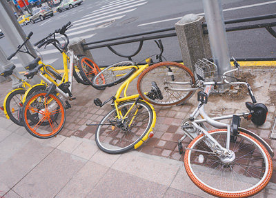 共享汽车有奔驰宝马吗,共享汽车能租宝马吗