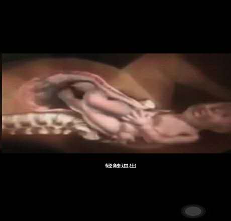 女子警报器响起,女生拉响警报器