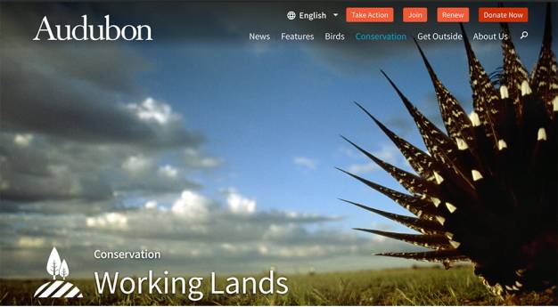 现代导航一体机,现代导航原装