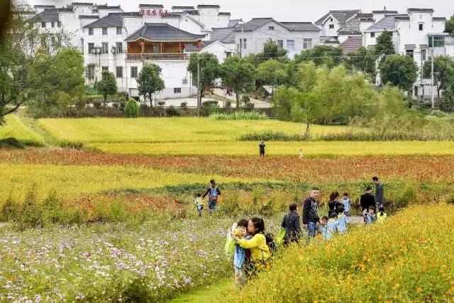 江苏苏州震泽古镇,江苏省吴中区甪直镇