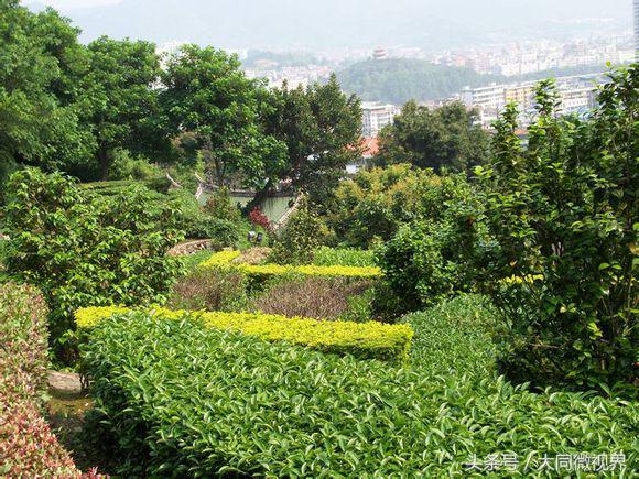 安溪茶都批发市场,安溪茶都店铺出售