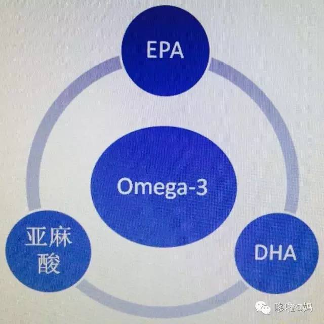 全家老小一起补充营养,全家人的营养补充